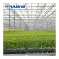 High tunnel film multi-span greenhouse for leafy vegetable